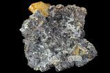 Sphalerite and Calcite - Elmwood Mine, Tennessee #89963-2